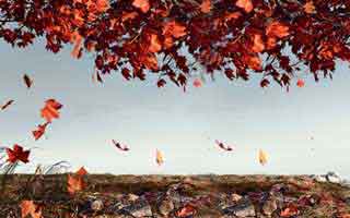 人人影视盘点:爆料3大误区,神秘人上榜理由彻底令人热议不止