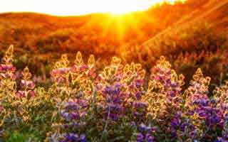 大V在昨晚遭遇丑闻刷爆评论,人人影视全网炸锅,详情速看